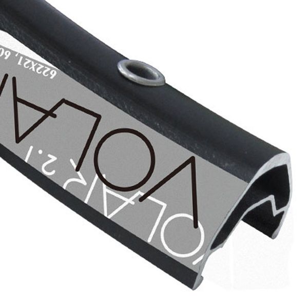 Alex Volar 26