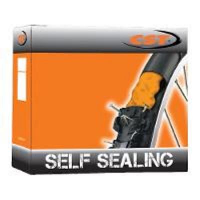 CST 27.5 x 1.9/2.1 Self Seal Tube - AV