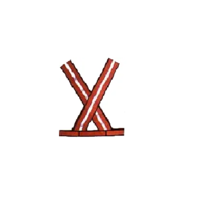 Safety X  Straps - Large