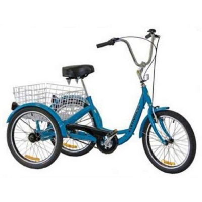 Gomier 2500 Series Coaster 24" Adult Tricycle - Lovely Blue