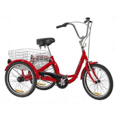 Gomier 2500 Series Coaster 24" Adult Tricycle - Bright Red